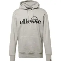 Ellesse Sportsweatshirt 'Oodia OH'