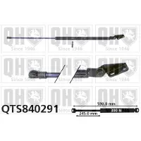 Quinton Hazell QTS840291 Gasveer achterklep