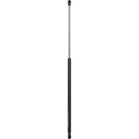 Diederichs 9168580 Gasveer achterklep