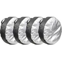 RIDEX 6420A0002 Bandentas set