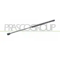 PRASCO FD7179055 Gasveer achterklep