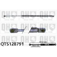 Quinton Hazell QTS128791 Gasveer achterklep