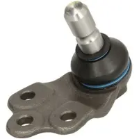 REINHOCH RH03-1009 Fuseekogel