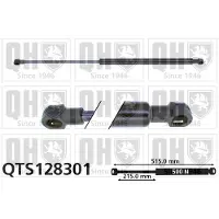Quinton Hazell QTS128301 Gasveer achterklep
