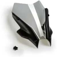 Puig New Generation Sport Yamaha Mt-09 2023 Voorruit