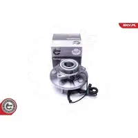 ESEN SKV 29SKV318 Wiellagerset