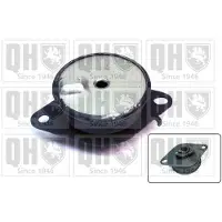 Quinton Hazell EM4690 Motorsteunlager