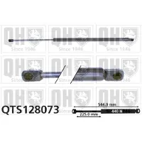Quinton Hazell QTS128073 Gasveer achterklep