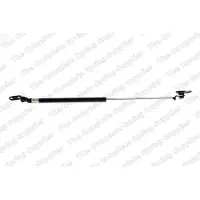 LESJÖFORS 8162003 Gasveer achterklep