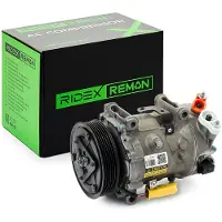 RIDEX 447K0036R Aircopomp