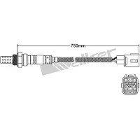 VEGAZ DLS-128 Lambdasonde