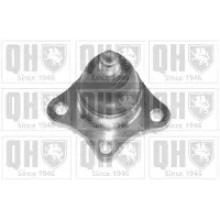 Quinton Hazell QSJ3513S Fuseekogel