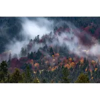 Karo-art Fotobehang Herfstbos In Een Prachtige Mist - Vliesbehang - 300 x 210 cm