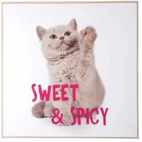 PT Living Wanddecoratie Kitten Sweet & Spicy Bright Pink