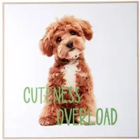 PT Living Wanddecoratie Puppy Cuteness Overload Green