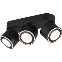 TRIO 652910332 Plafondlamp Taurus Zwart
