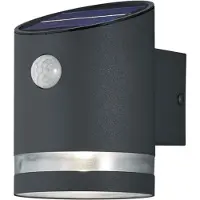 TRIO REALITY SALTA - Wandlamp - Antraciet - incl. 1x SMD 3W - Solar - Zonne energie - Buitenverlichting - IP44