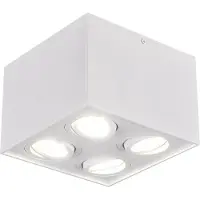TRIO 613000431 Plafondlamp Biscuit Wit