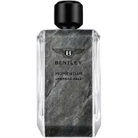 Bentley Herengeuren Momentum Unbreakable Eau de Parfum Spray 100 ml