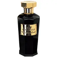 Amouroud Oud After Dark Eau de Parfum Spray 100 ml