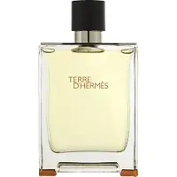 Hermès Paris Terre d'75 ml - Eau de Parfum - Herenparfum