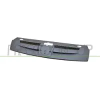 PRASCO PG9062001 Radiator grill