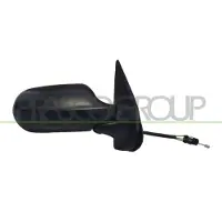 PRASCO Buitenspiegel FT1148113