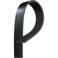 Gates 8PK1955HD Multiriem