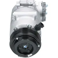BV PSH 090.595.040.020 Aircopomp