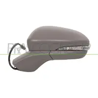 PRASCO Buitenspiegel FD1147374