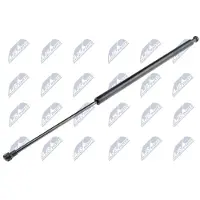NTY AE-NS-009 Gasveer achterklep