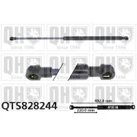 Quinton Hazell QTS828244 Gasveer achterklep