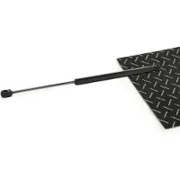 RIDEX 219G1289 Gasveer achterklep
