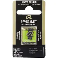 Taidepiste Aquarelverf Napje - Sapgroen #623