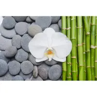 Karo-art Fotobehang Bamboe Met Stenen En Orchideeën - Vliesbehang - 450 x 300 cm