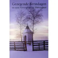 Benza Dubbele Religieuze Kerstkaarten 10 - 6 stuks