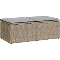 vidaXL 2-delige Loungeset met kussens poly rattan acacia beige