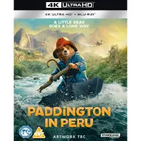 Import Paddington in peru