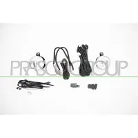 PRASCO IZ8224433 Mistlamp
