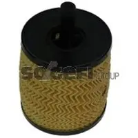 FRAM CH9813ECO Oliefilter