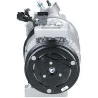 BV PSH 090.815.018.000 Aircopomp