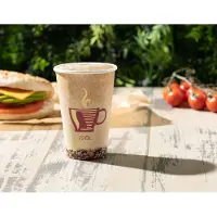 Decorline Kartonnen bekers 300ml - 100 stuks - koffie bekers - wegwerp papieren bekers