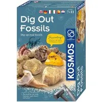Kosmos Dig Out Fossils - Opgravingsset - Graaf Echte Fossielen Op - Inclusief Barnsteen, Steenkoraal en Fossiele Schelpen - Archeologie voor Kinderen - STEM Speelgoed - Vanaf 7 Jaar