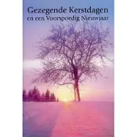 Benza Dubbele Religieuze Kerstkaarten 19 - 6 stuks