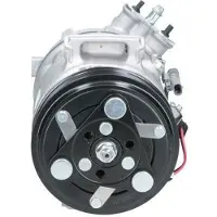BV PSH 090.135.042.907 Aircopomp