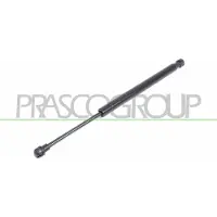 PRASCO BM0189055 Gasveer achterklep