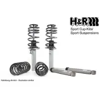 H&R 31006-2 Schokdemper met veer