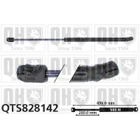 Quinton Hazell QTS828142 Gasveer achterklep