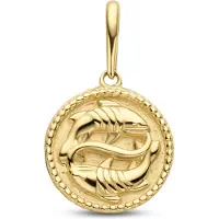 New Bling 9NBG-0277 Gouden Sterrenbeeld - Vissen - 10 mm Doorsnee - 14 Karaat - Goud