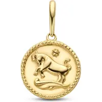 New Bling 9NBG-0285 Gouden Sterrenbeeld - Stier - 10 mm Doorsnee - 14 Karaat - Goud